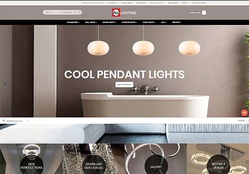 E-commerce store developed in Magento 2