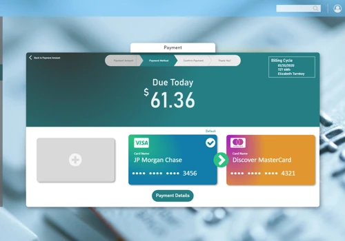 Payment Usage and Outage Portal
