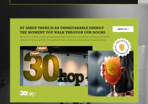 Website Design for 30Hop