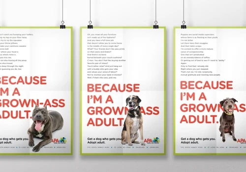APA Adoption Center // Grown-Ass Adults