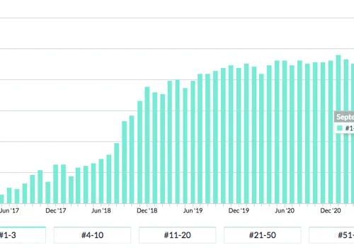 340% Increase In Search Visibility
