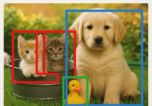 Image Classification