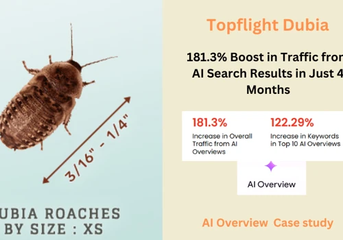 181.3% Increase in Overall Traffic from AIO