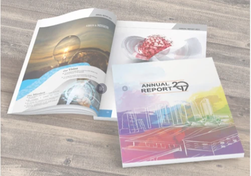 ANNUAL REPORT