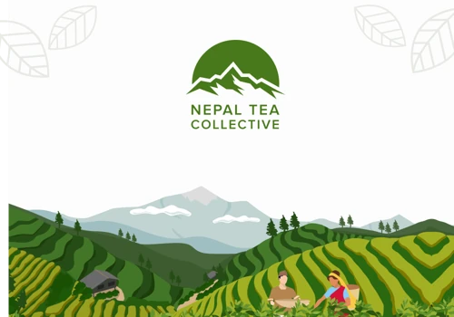 Design overhaul for US based nepali tea company