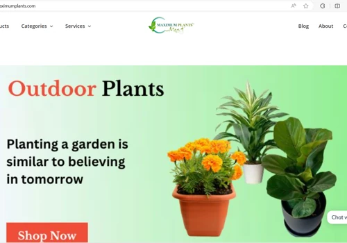 E-Commerce Web Portal