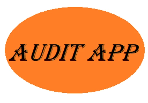 Audit App