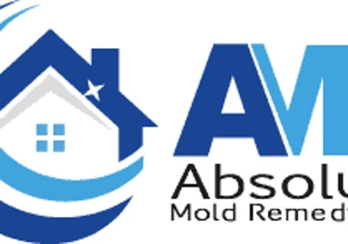 Transforming AMR's Online Presence