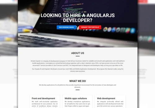 AngularJS Development Company website