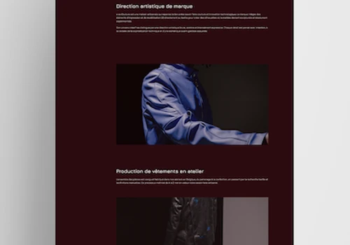 Website - Veeesion