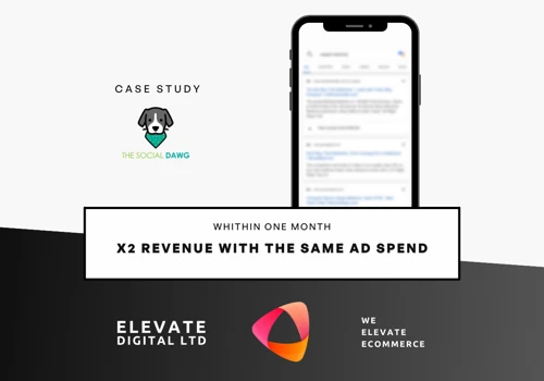 x2 Revenue with the same ad spend in 1 month
