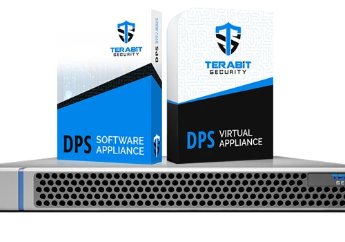 DDoS Protection System