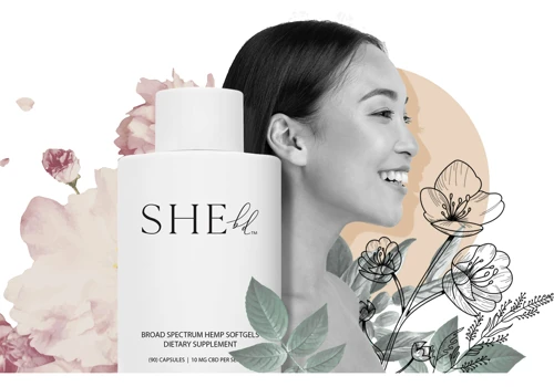 Illustration design for SHEbd