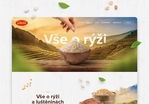 All about Rice - Vitana