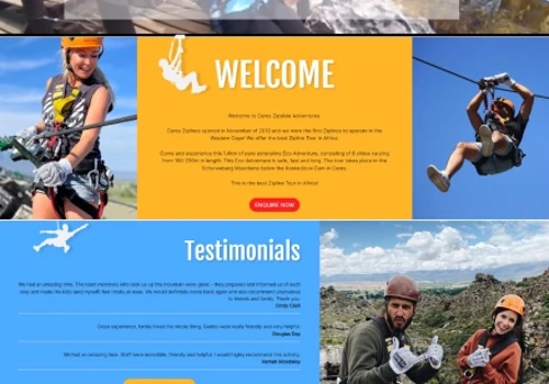 Website development