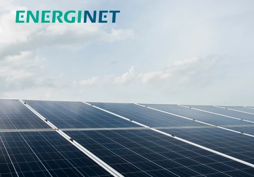 Denmark Electricity Network Planning Solution