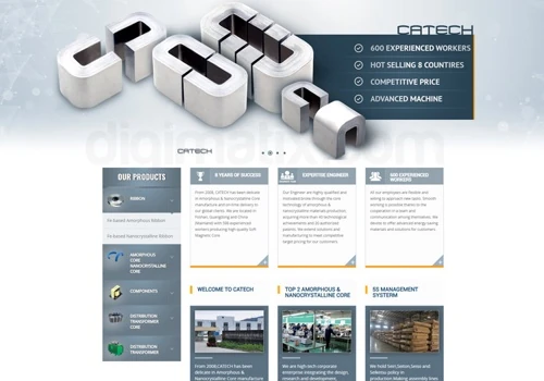 Web Development Project