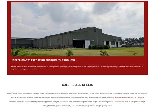 Website and HRMS Development