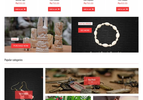 E-commerce website Development