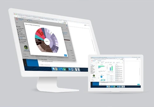 Customer Overview