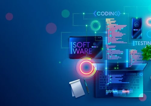 Software House Development
