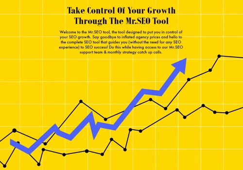 SEO Tool