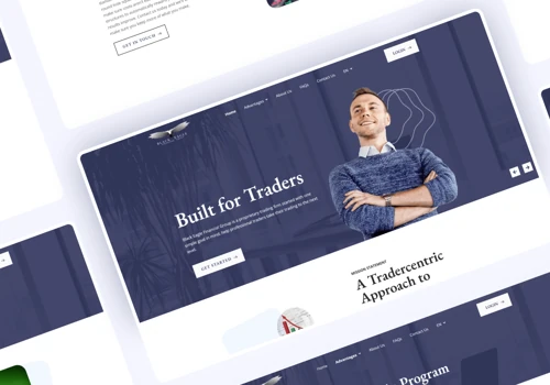 Black Eagle - Website Design & Development
