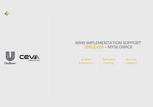 WMS Implementation Support