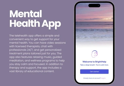 Mental Wellness Application