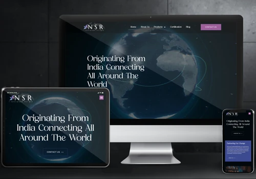 NSR InterGlobe Website