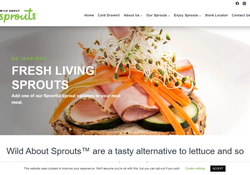 Web Redesign