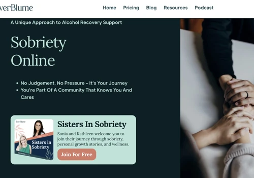 Website + Rebranding + Pay Per Click