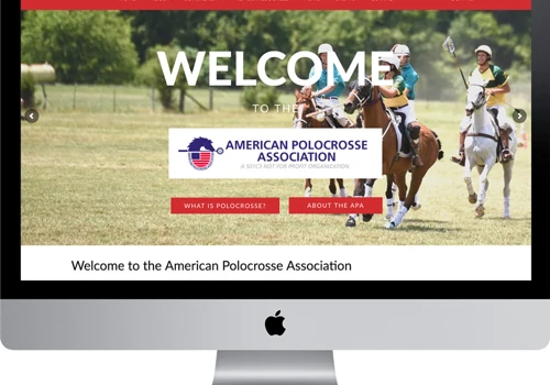 American Polocrosse Association
