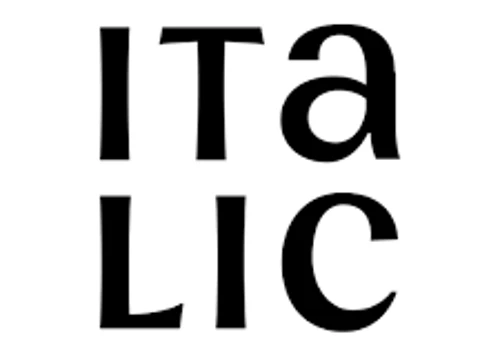 Italic - Y Combinator Funded D2C Startup