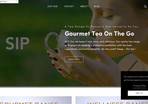 Tgo Shopify Development