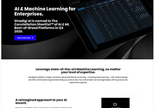 STRADIGI AI WEB DEVELOPMENT
