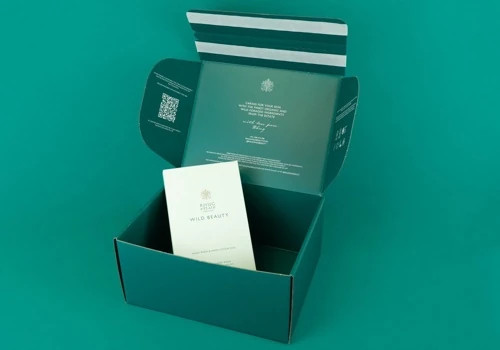 E-commerce Shipping Box