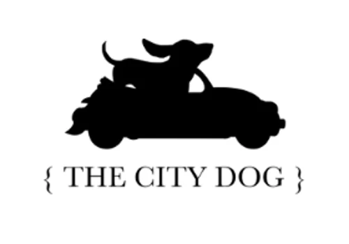 End-to-End Marketing for The City Dog Daycare