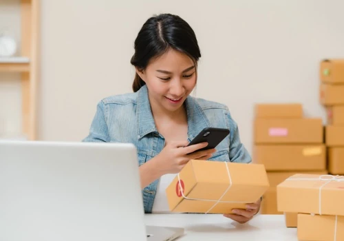 E-commerce Platform for Lifestyle Products (Japan)