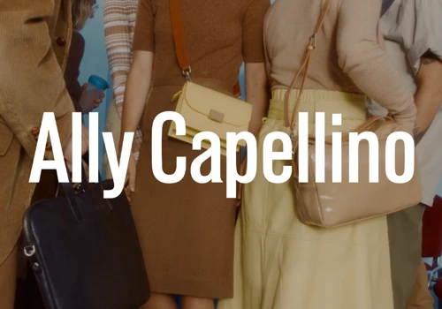 Ally Capellino: Conv Rate Optimisation + Paid