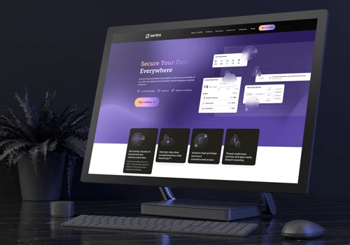 Sentra Website Design
