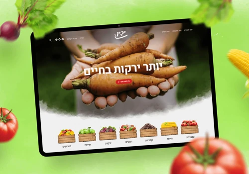 Yachin Website Design