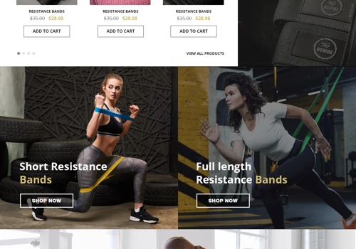 Gym related products e commerce store design and development