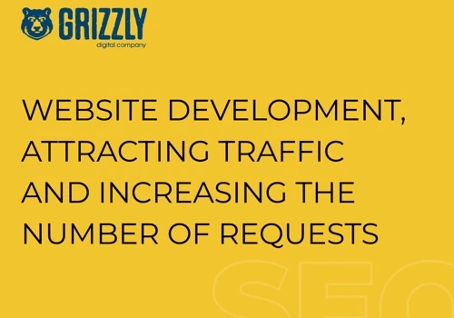 Website development and SEO promotion