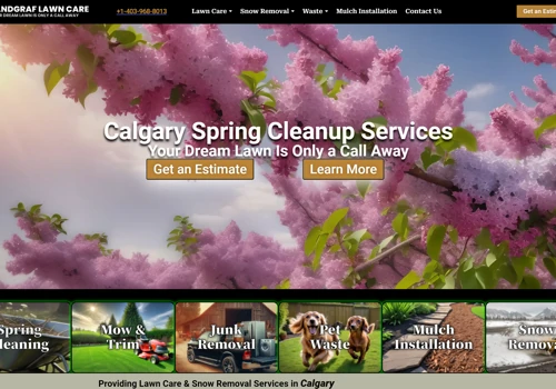 Website Design and Media Marketing, SEO