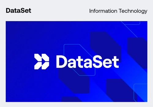 DataSet