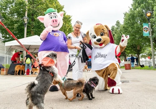 Fromm Petfest