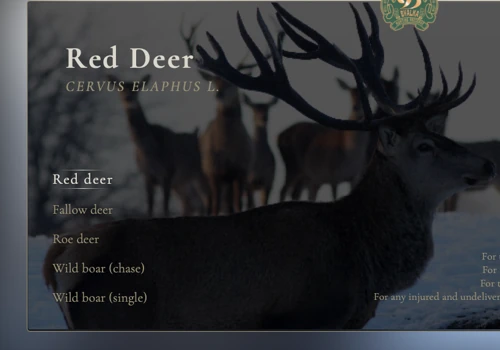 Byalka Hunting Preserve