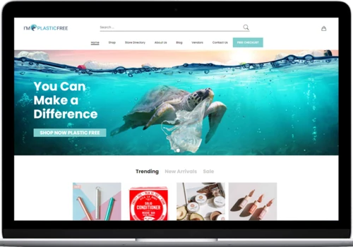 E-commerce development