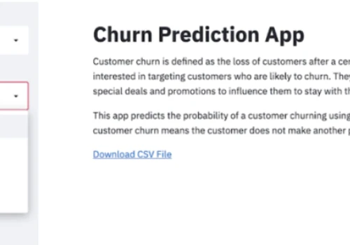 Churn Prediction App